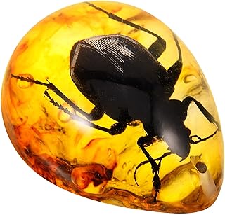DIY créatif : Fabriquez vos propres objets de décoration originaux ULTECHNOVO Pendentif en Résine D’Ambre Spécimen de