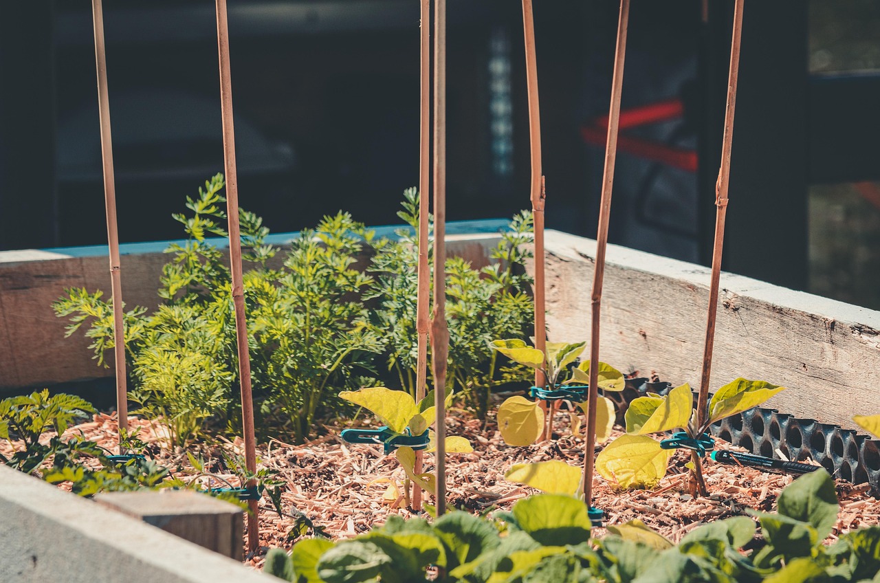découvrez nos bacs de jardin surélevés, idéaux pour cultiver facilement vos légumes et fleurs tout en améliorant le drainage et la qualité du sol.